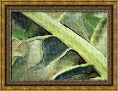 Erezet - akvarell, számítógépes grafika